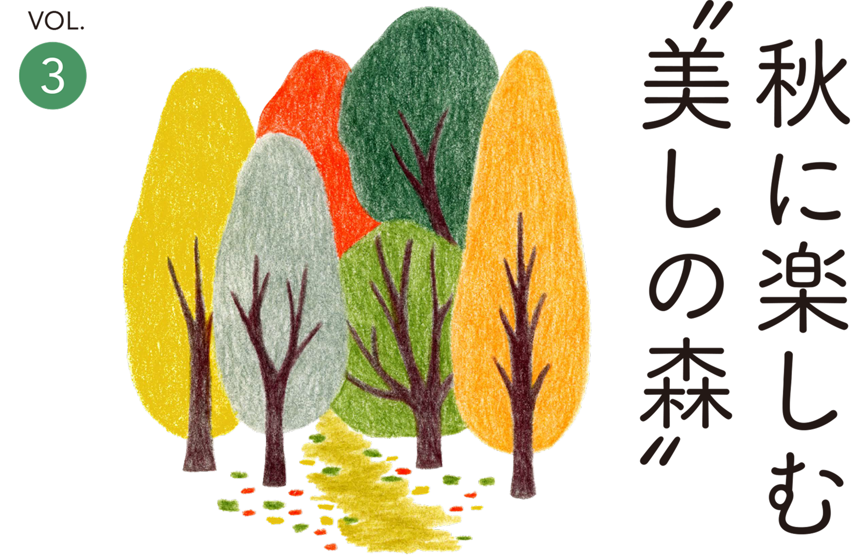 秋に楽しむ美しの森