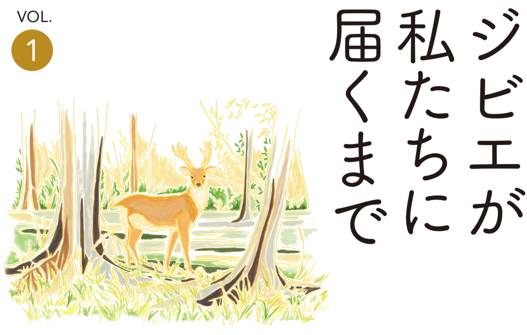 ジビエが私たちに届くまで
