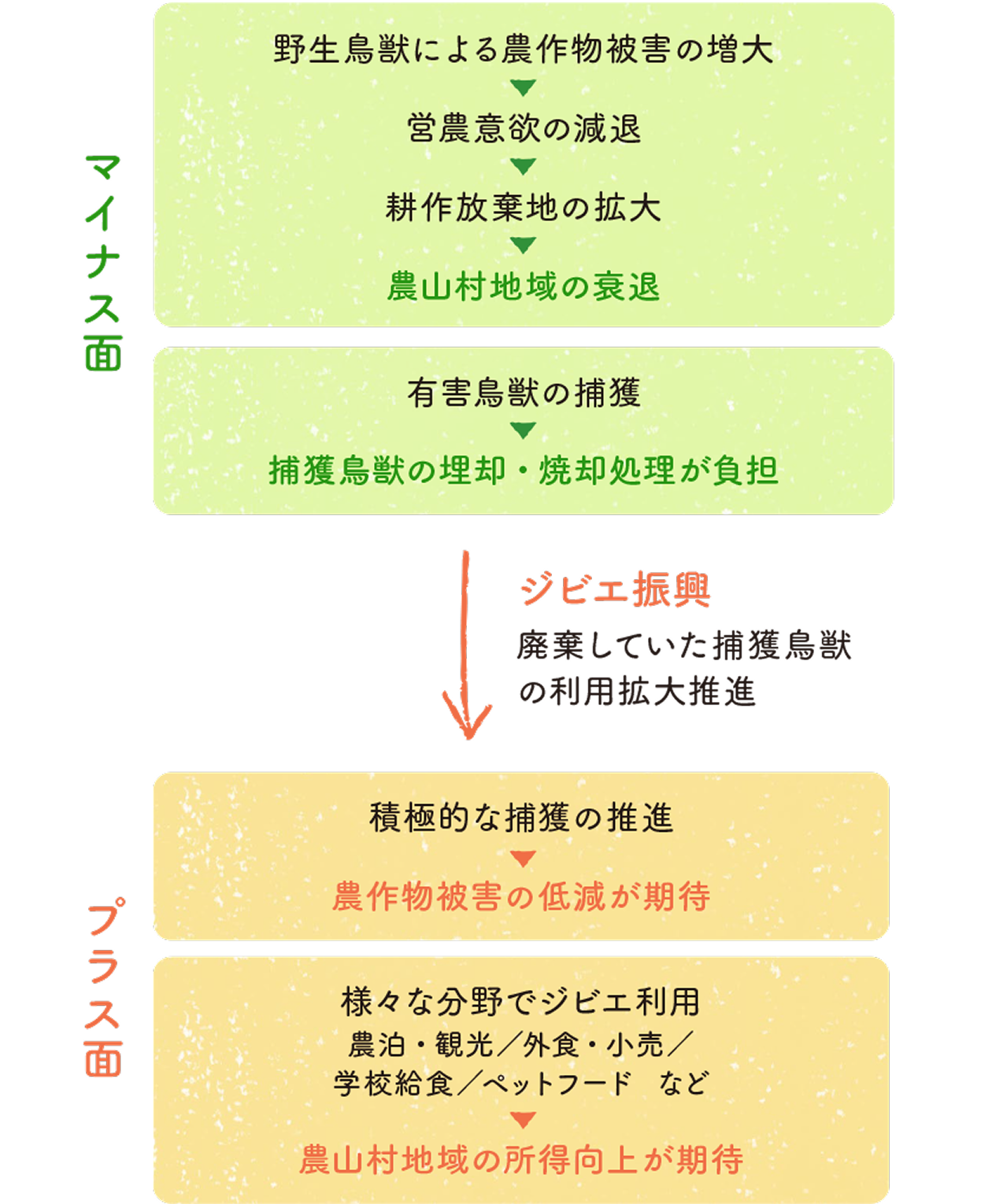 野生鳥獣による農作物被害の増大が、営農意欲の減退、耕作放棄地の拡大、農山村地域の衰退につながり、有害鳥獣の捕獲後も埋却・焼却処理が負担となっている。一方、ジビエ振興により、これまで廃棄されていた捕獲鳥獣の利用を拡大し、積極的な捕獲による農作物被害の低減や、農泊・観光、外食・小売、学校給食、ペットフードなど幅広い分野でのジビエ利用を通じた農山村地域の所得向上が期待されることを示した図。