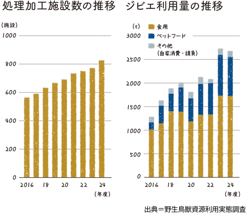 2016年度から2024年度までのジビエ処理加工施設数とジビエ利用量の推移を示したグラフ。処理加工施設数は600か所未満から800か所以上へ増加している。ジビエ利用量も全体として増加傾向にあり、2024年度は約2,500トン以上。利用用途は食用が最も多く、ペットフード、その他（自家消費・試食）が続いている。