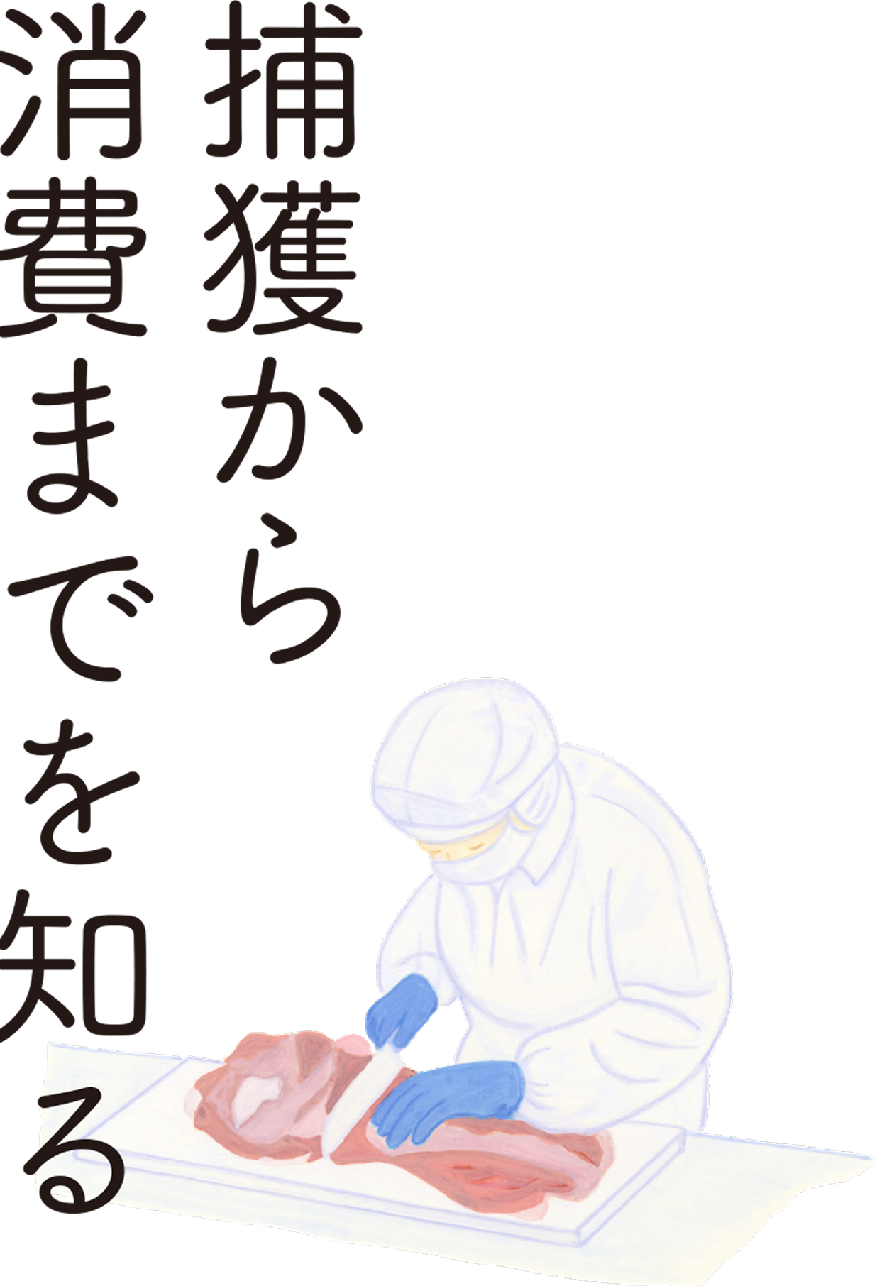 捕獲から消費までを知る