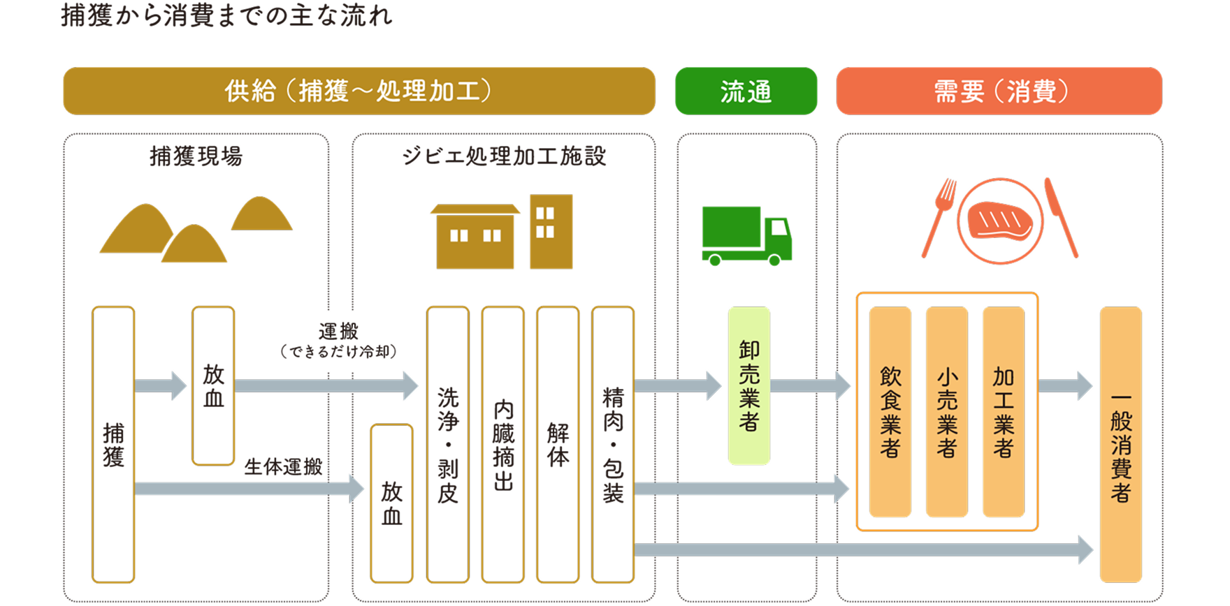 ジビエの捕獲から消費までの主な流れを示した図。捕獲現場で捕獲・放血した鳥獣を、冷却しながら、または生体のままジビエ処理加工施設へ運搬し、洗浄・剥皮、内臓摘出、解体、精肉・包装などの処理を行う。その後、卸売業者を経て飲食業者・小売業者・加工業者へ流通するほか、処理加工施設から直接これらの事業者や一般消費者へ販売される流れを示している。