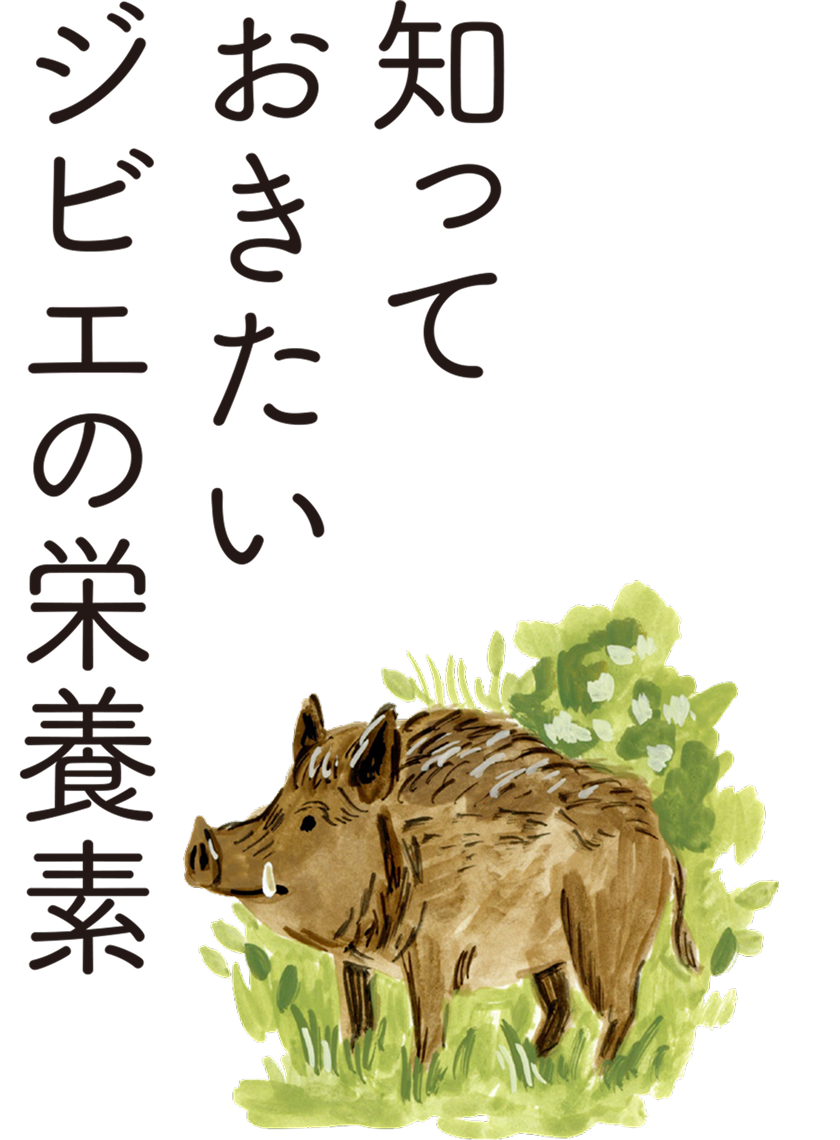 知っておきたいジビエの栄養素