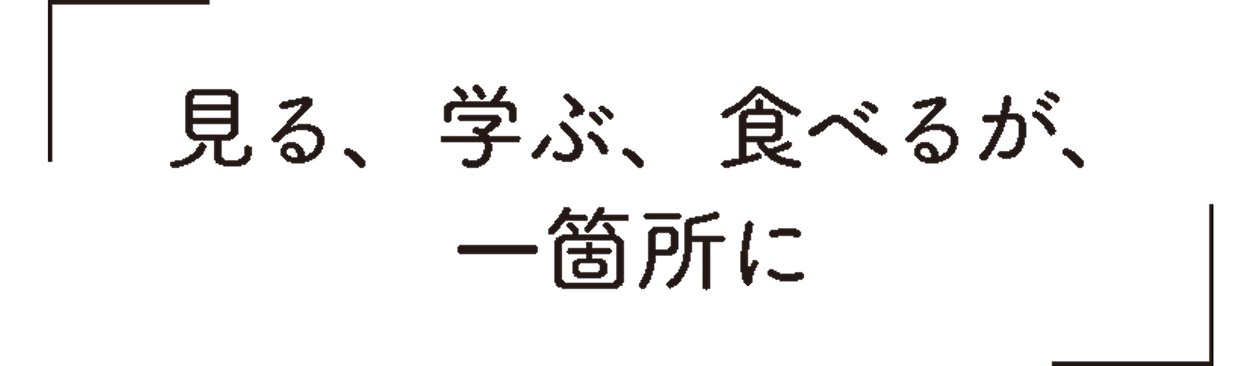 見る、学ぶ、食べるが、一箇所に