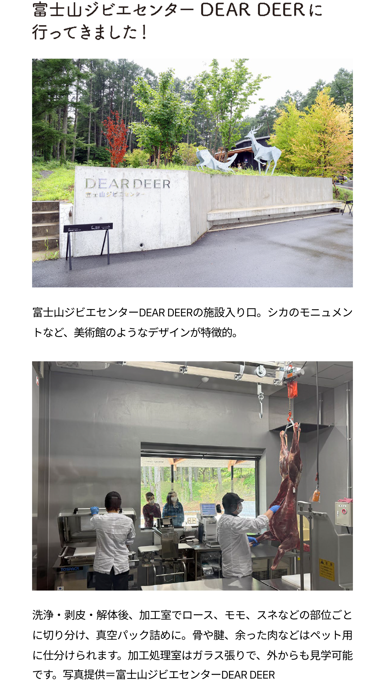 富士山ジビエセンター「DEAR DEER」の外観と、施設内でジビエの処理加工を行っている様子を紹介した写真。富士山ジビエセンターDEAR DEERの施設入り口。シカのモニュメントなど、美術館のようなデザインが特徴的。洗浄・剥皮・解体後、加工室でロース、モモ、スネなどの部位ごとに切り分け、真空パック詰めに。骨や腱、余った肉などはペット用に仕分けられます。加工処理室はガラス張りで、外からも見学可能です。写真提供=富士山ジビエセンターDEAR DEER