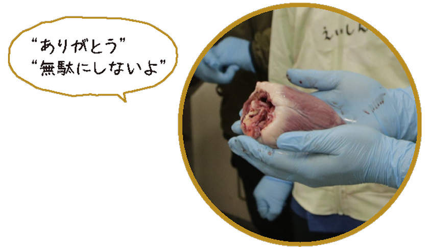 取り出した心臓を手にしている写真