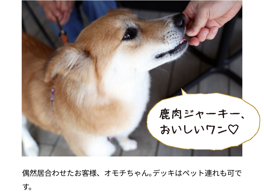 偶然居合わせたお客様、オモチちゃん。デッキはペット連れも可です。
