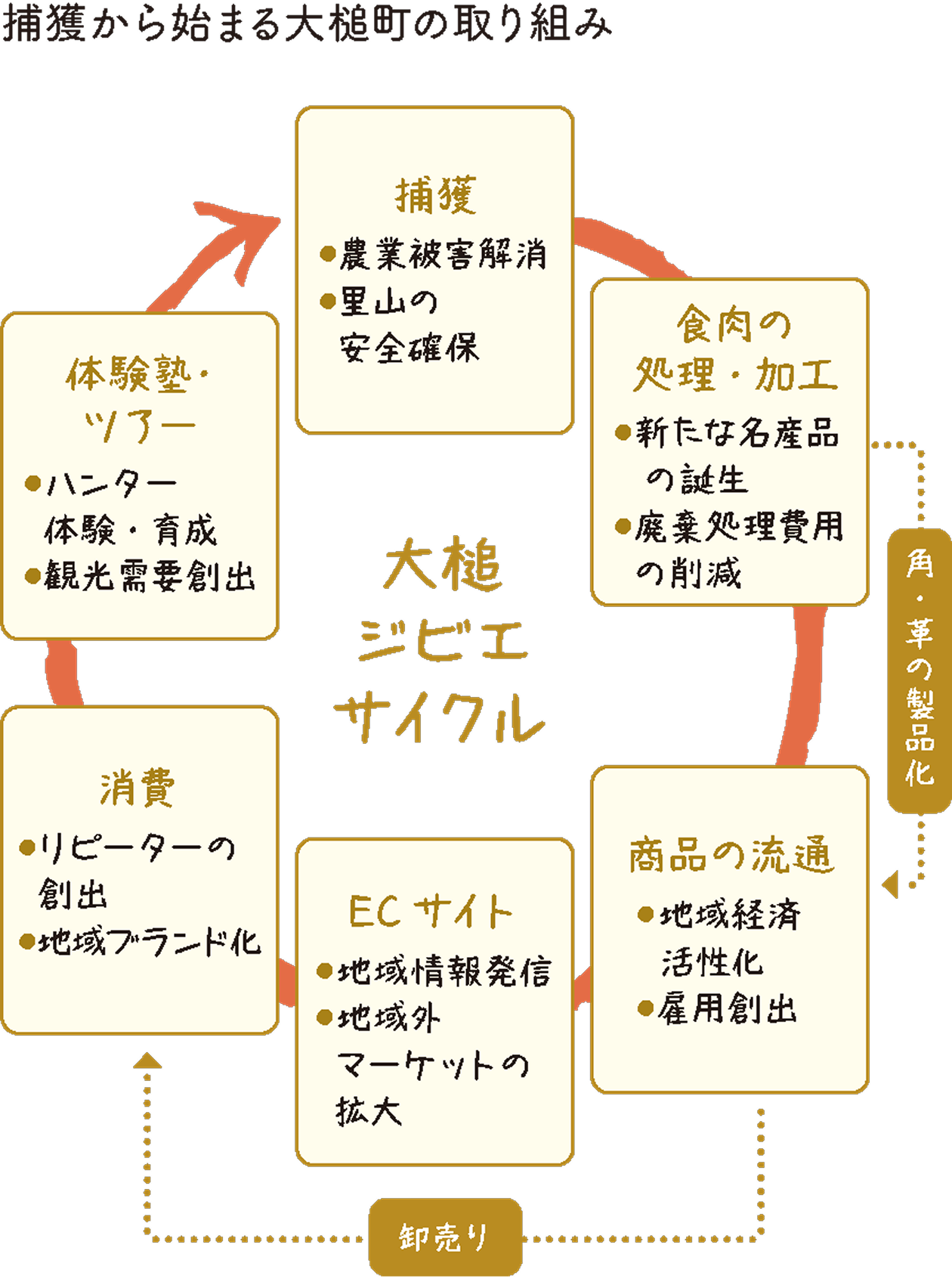 大槌町のジビエ活用を、捕獲から消費まで循環させる取り組みを示した図。捕獲によって農業被害の解消と里山の安全確保を図り、食肉の処理・加工で新たな名産品の開発や廃棄処理費用の削減につなげる。商品流通では地域経済の活性化と雇用創出、ECサイトでは地域情報の発信と地域外市場の拡大、消費ではリピーター創出と地域ブランド化、体験塾・ツアーではハンター体験や育成、観光需要の創出を目指す。鹿革の製品化や卸売も含めた「大槌ジビエサイクル」の全体像を表している。
