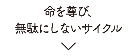 命を尊び、無駄にしないサイクル