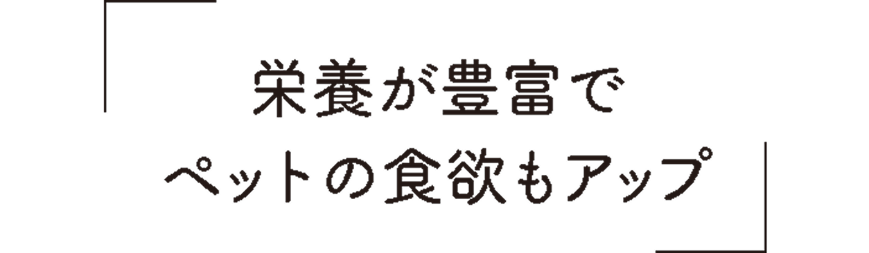 栄養が豊富でペットの食欲もアップ