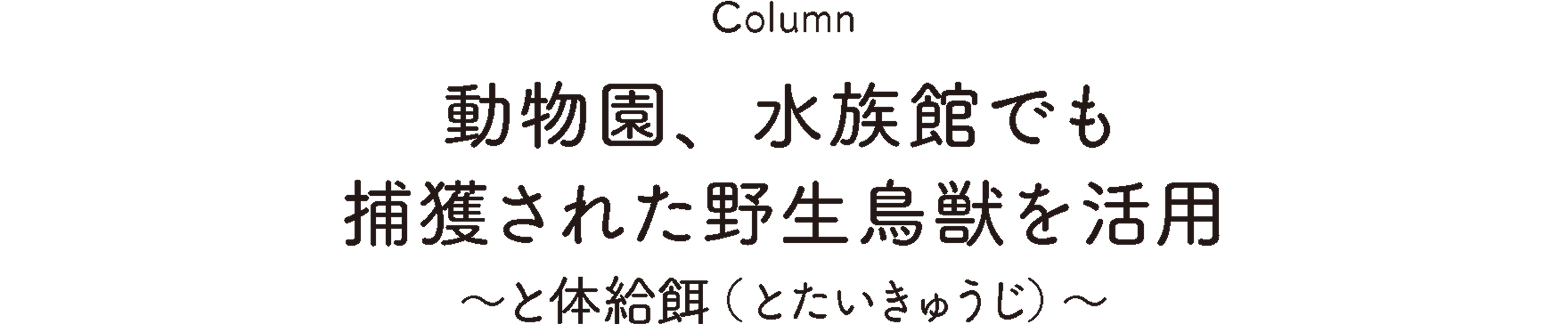Column:動物園、水族館でも捕獲された野生鳥獣を活用 ～と体給餌（とたいきゅうじ）～