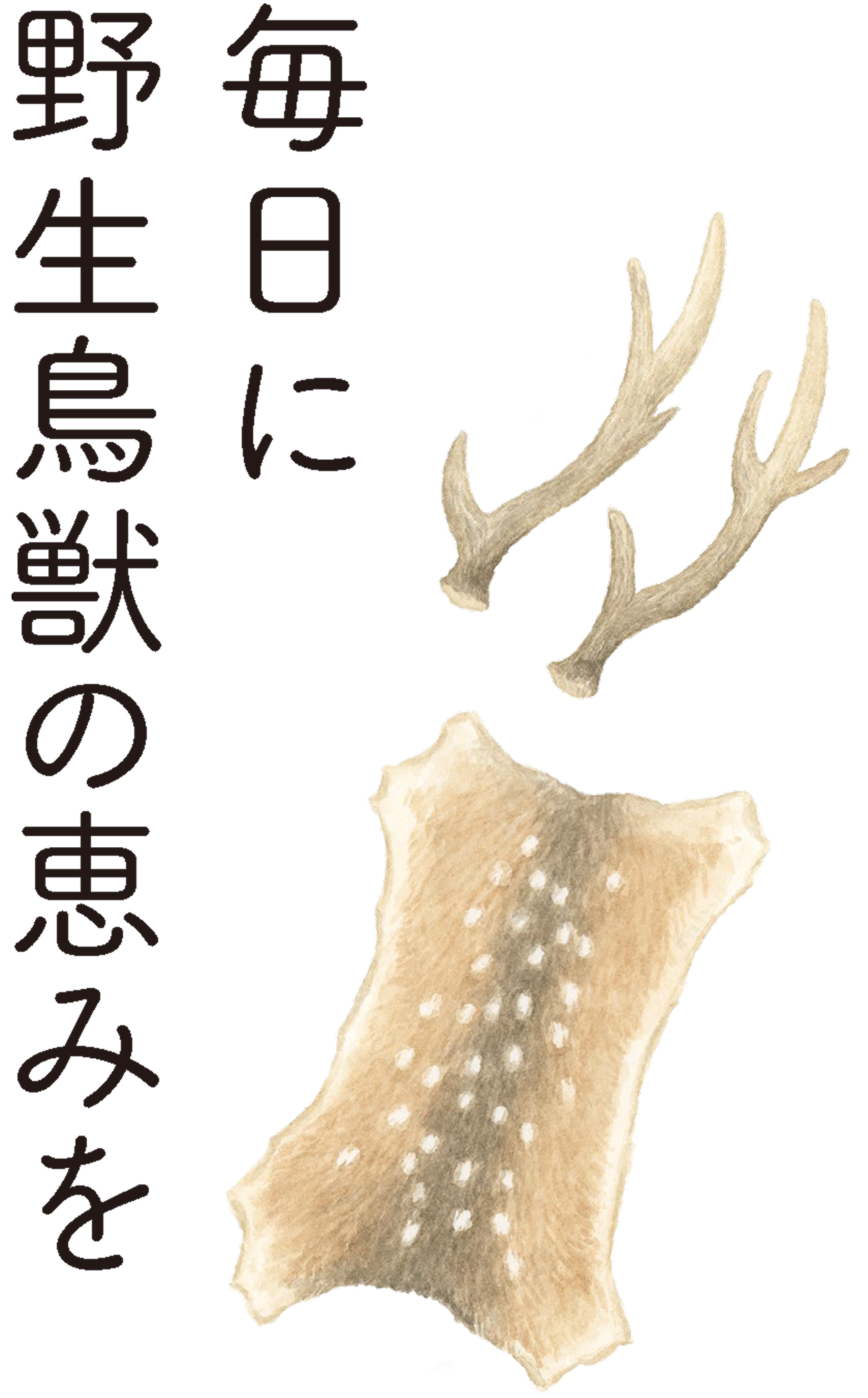 毎日に野生鳥獣の恵みを