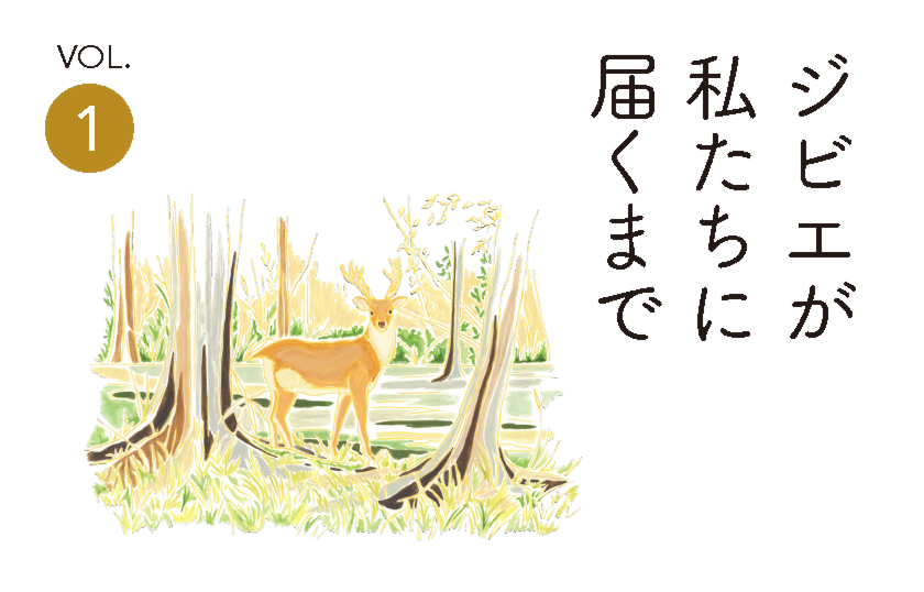 ジビエが私たちに届くまで