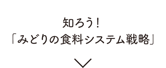 知ろう！「みどりの食料システム戦略」