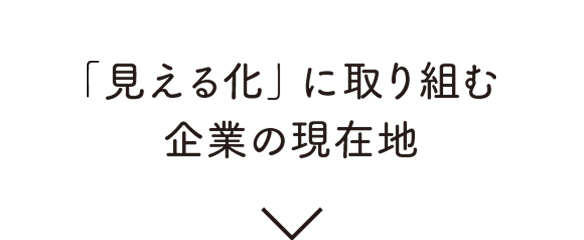 「見える化」に取り組む企業の現在地