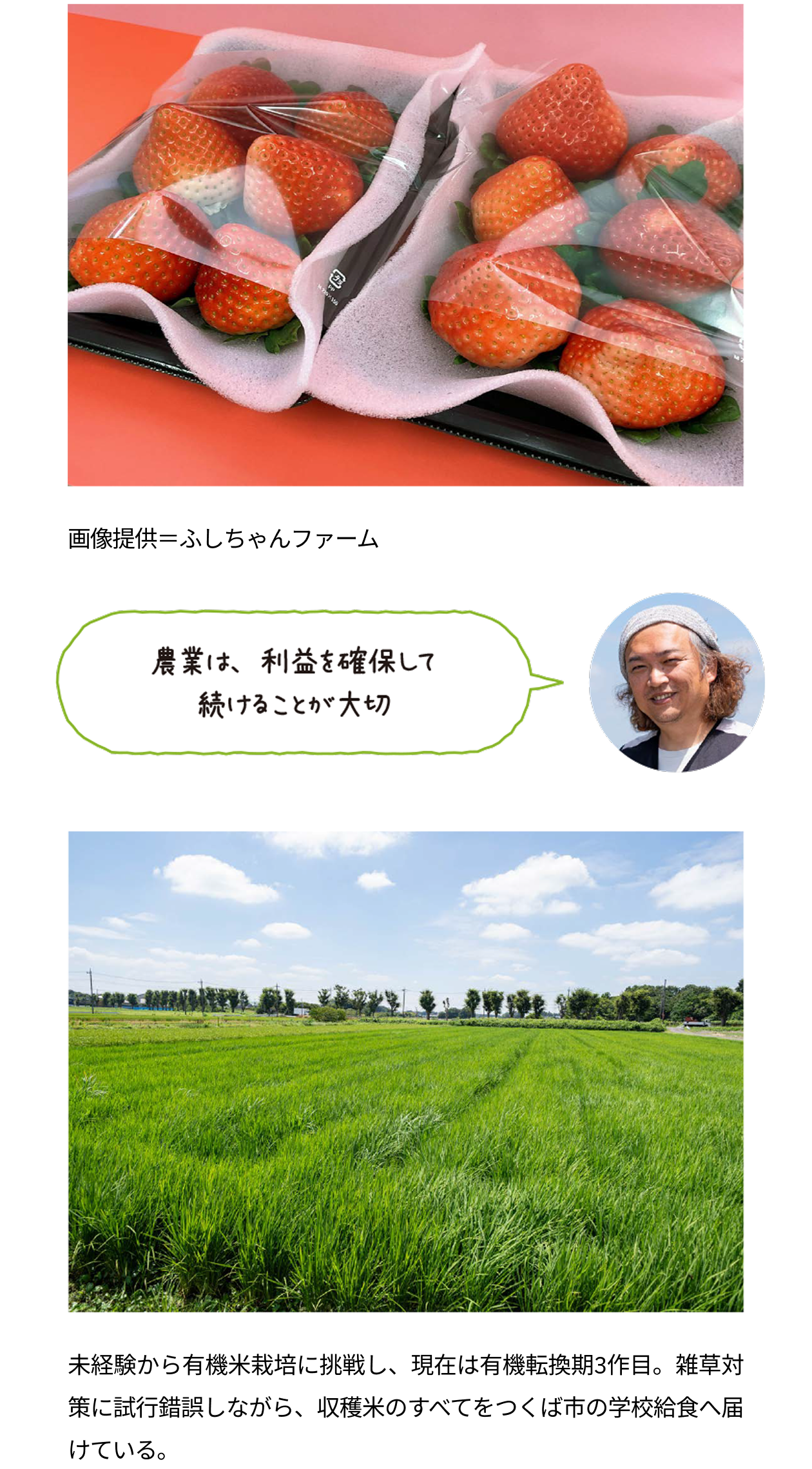 ふしちゃんファームの農業への取り組みを紹介する写真。上段は、赤く熟した大粒のいちごが緩衝材と透明フィルムで丁寧に包装され、箱に並べられている様子。中段は、ふしちゃんファーム代表・伏田直弘さんの写真とコメント「農業は、利益を確保して続けることが大切」。下段は、青空と白い雲が広がる中、緑豊かな田園風景が一面に広がっている様子。未経験から有機米栽培に挑戦し、現在は有機転換期3作目。雑草対策に試行錯誤しながら、収穫米のすべてをつくば市の学校給食へ届けている。