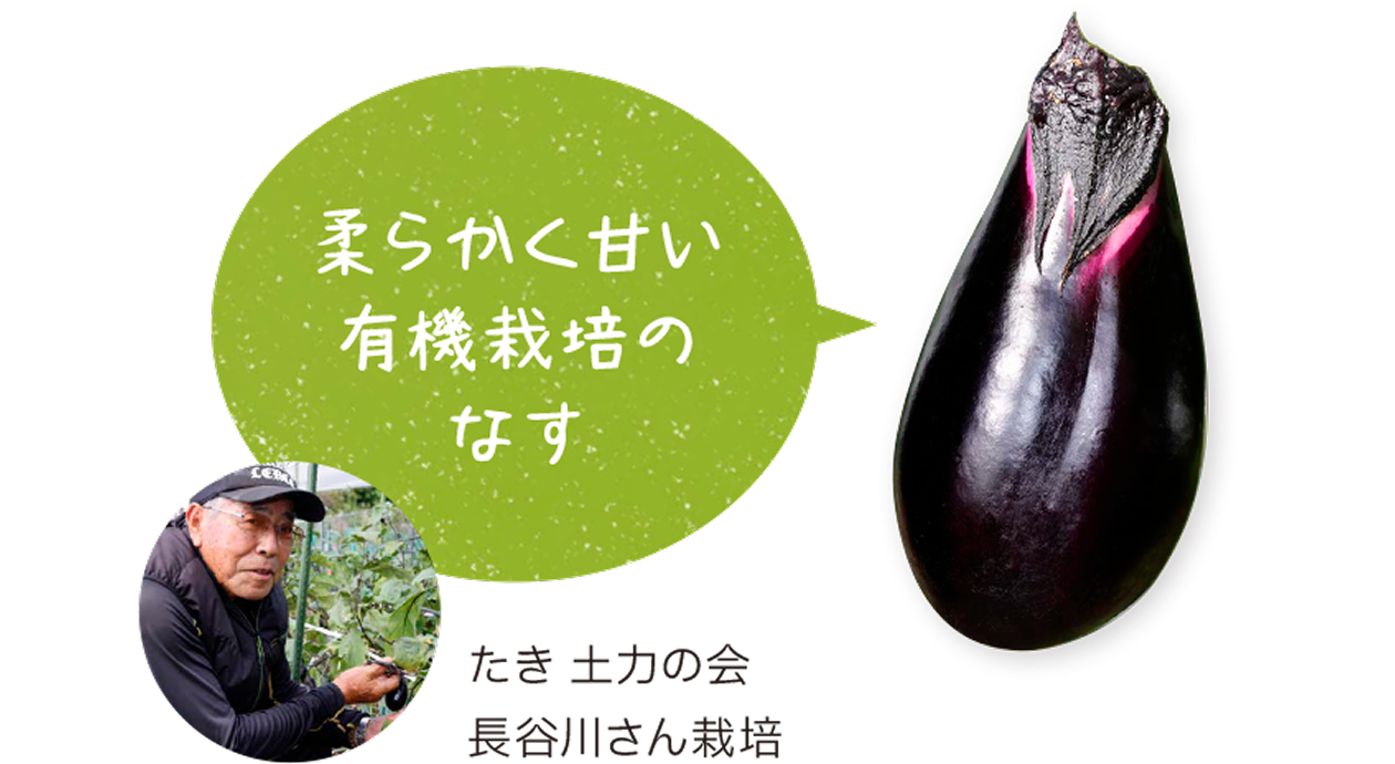 柔らかく甘い有機栽培のなす。たき土力の会・長谷川さんが栽培した、艶のある濃い紫色のなすと、生産者の長谷川さんの写真。