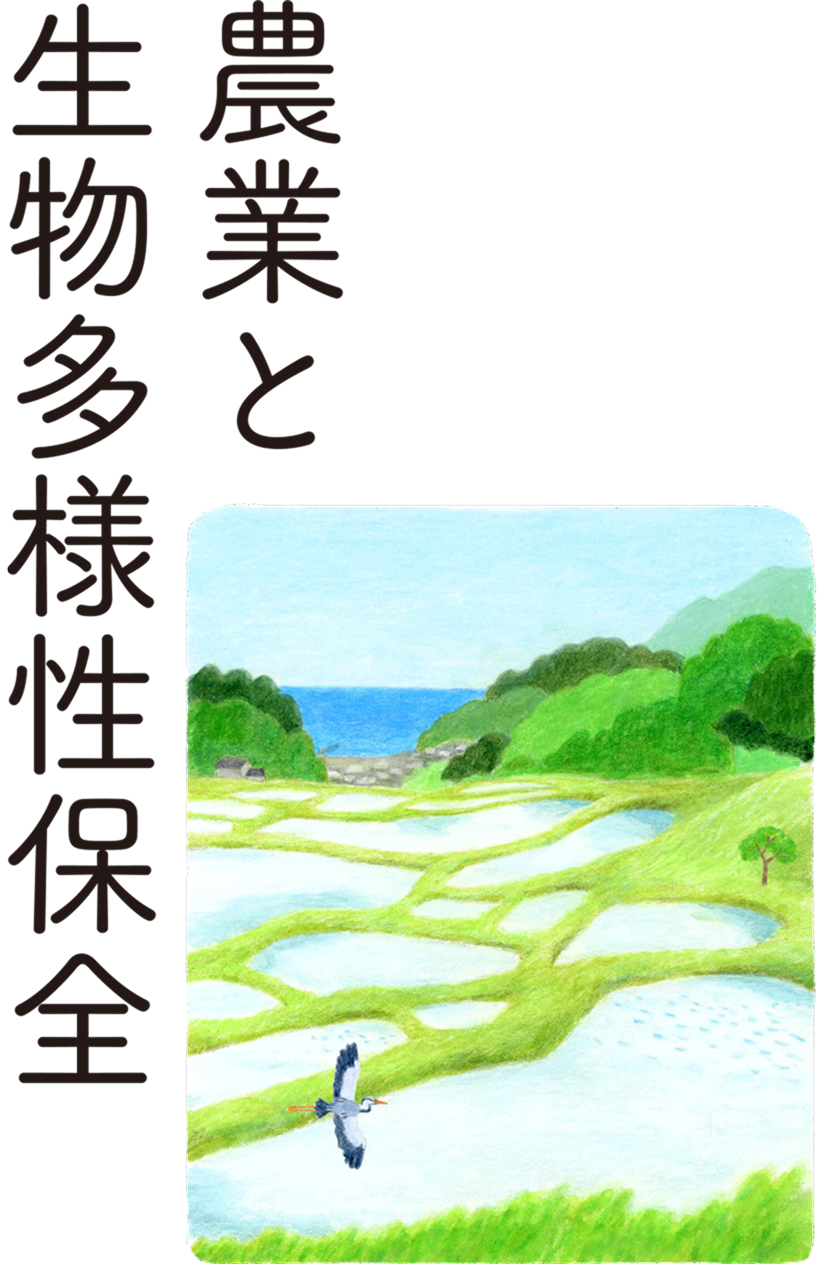 農業と生物多様性保全