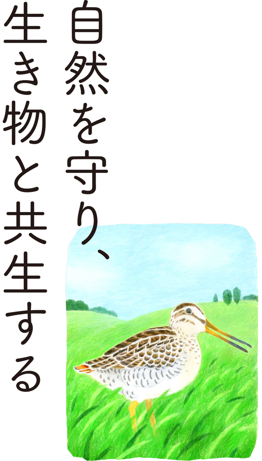 自然を守り、生き物と共生する