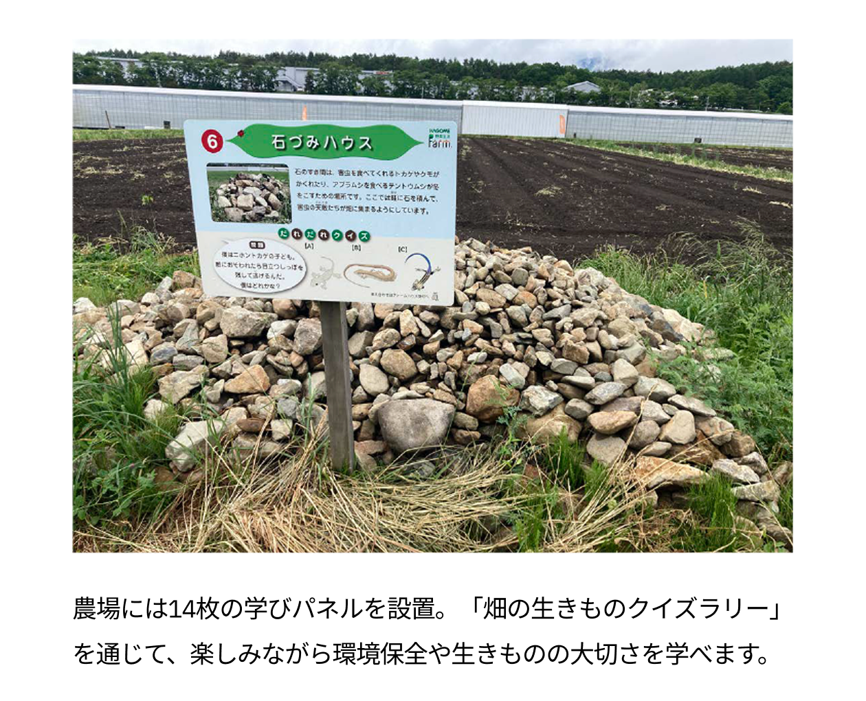 農場には14枚の学びパネルを設置。「畑の生きものクイズラリー」を通じて、楽しみながら環境保全や生きものの大切さを学べます。