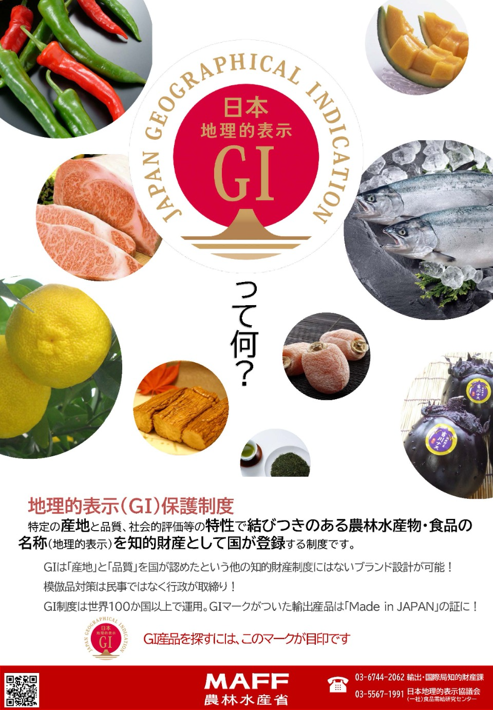 GIって何？表紙画像