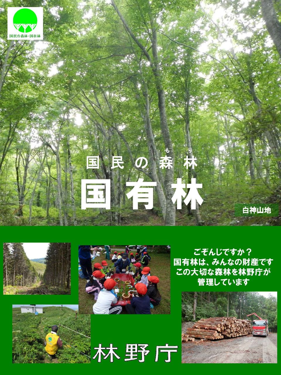 kokuyurin.jpg