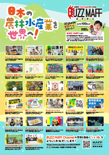 BUZZMAFF flyer