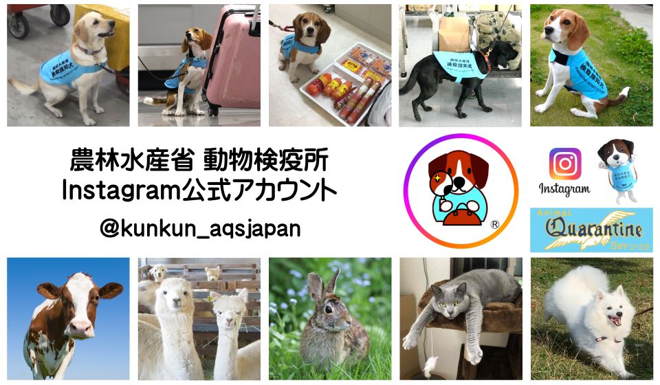 動物検疫所Instagram