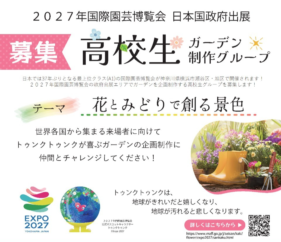 チラシ