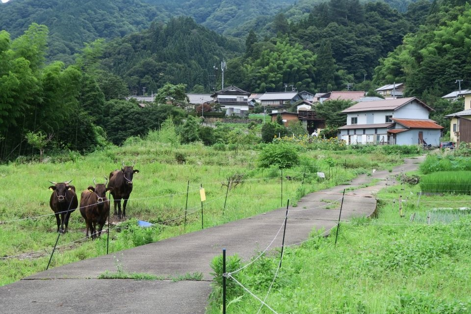 兵庫美方地域の代表写真
