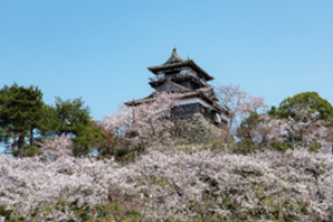 丸岡城天守