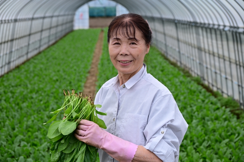 清水由紀江氏