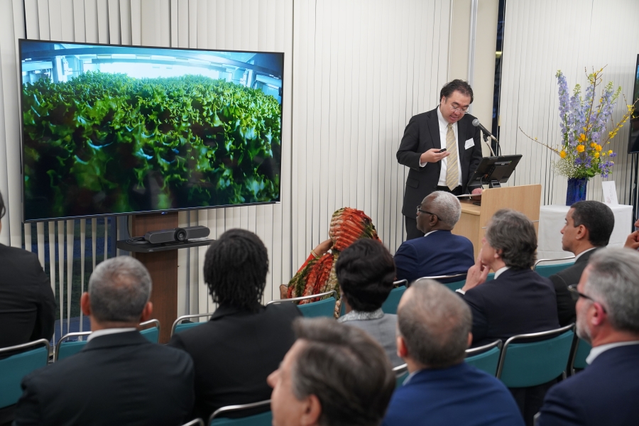 プランテックス