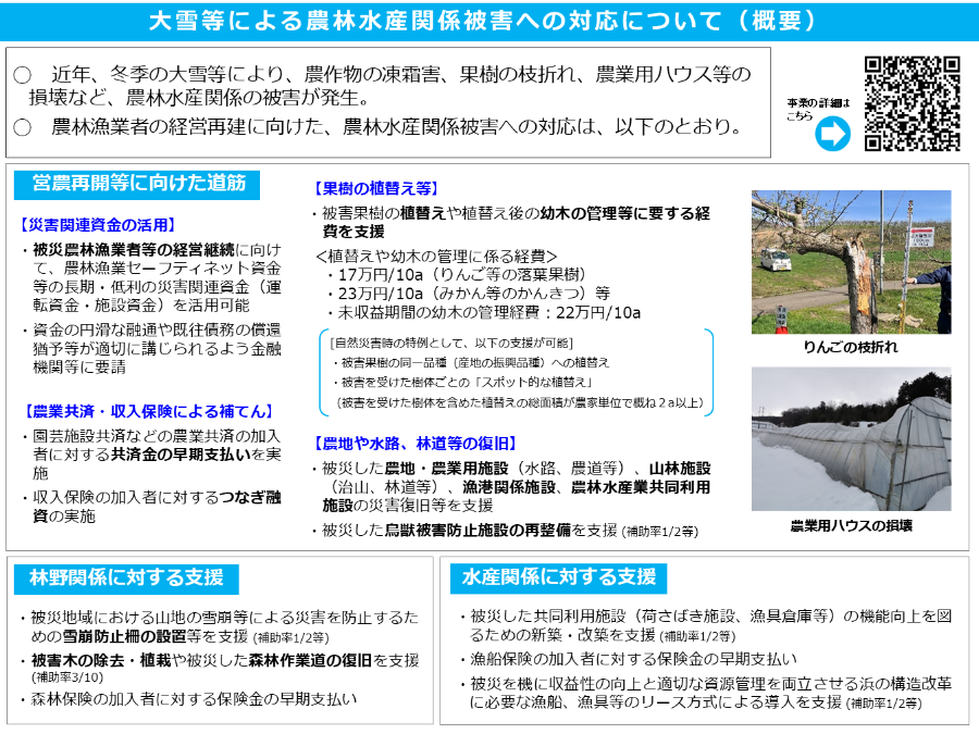 支援概要