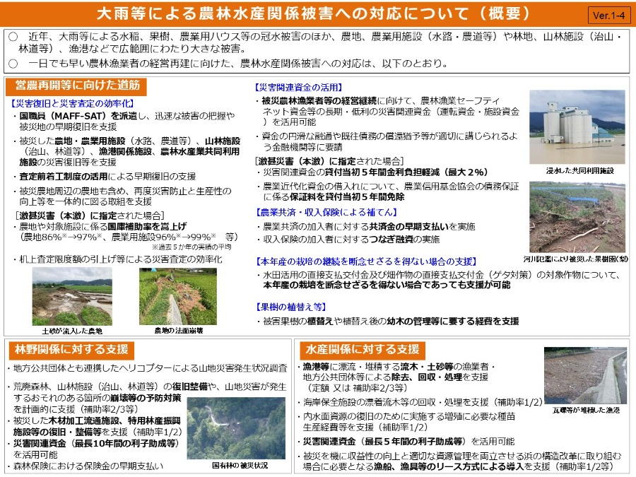 支援概要