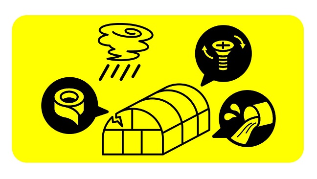 ページイメージ画像