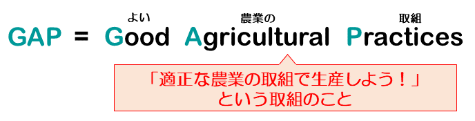 GAPinfo_home02