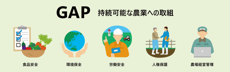 GAPイメージ図、持続可能な農業への取り組み、食品安全、環境保全、労働安全、人権保護、農場経営管理