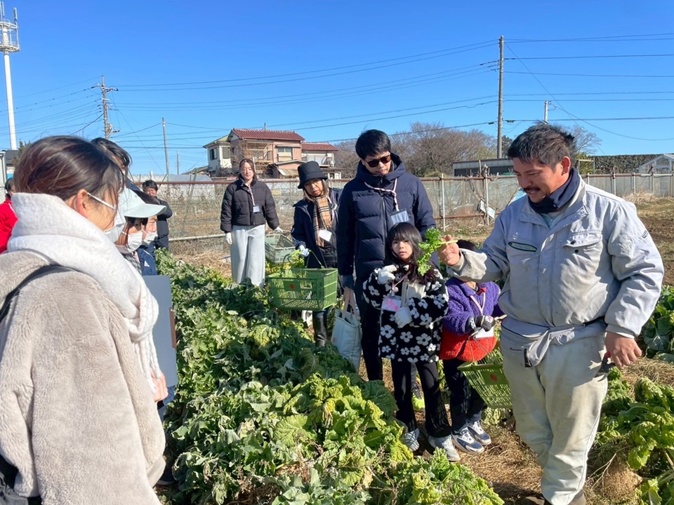 規格外野菜に関する説明