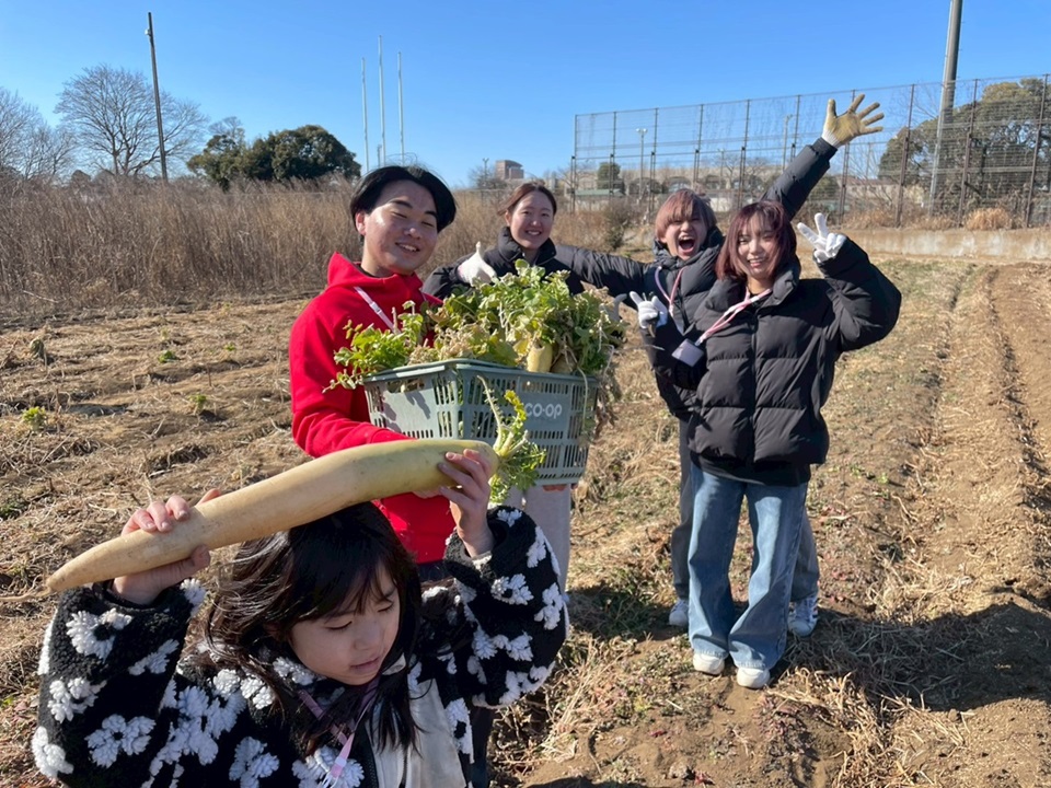 野菜の収穫風景