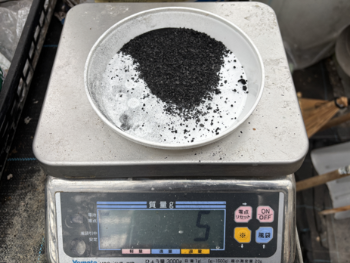 豚ぷんたい肥からリンを回収した肥料を使用２