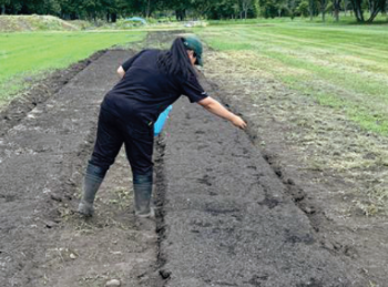 豚ぷんたい肥からリンを回収した肥料を使用１