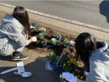 フラワーロードプロジェクトの様子１