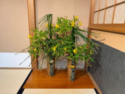 令和6年6月10日の週　いけばな作品