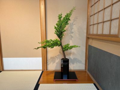 令和6年6月24日の週　いけばな作品