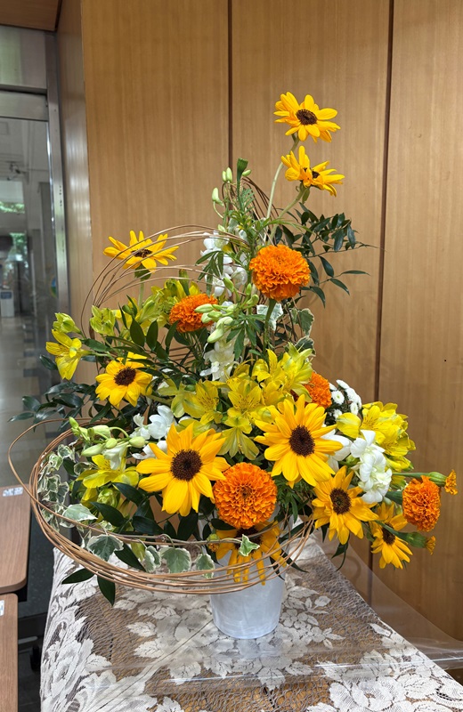 2026年5月11日の週の展示