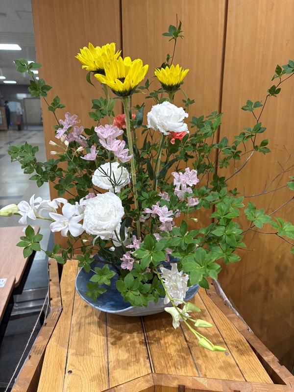 2026年6月1日の週の展示