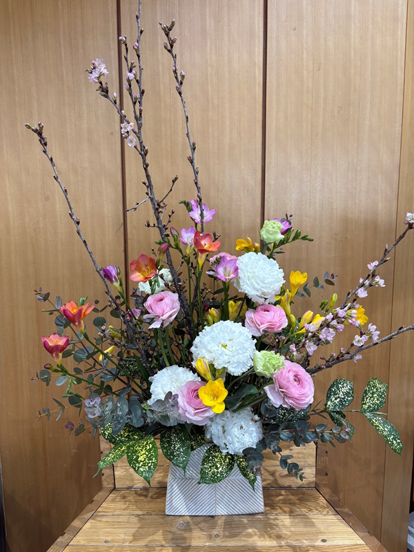 2026年2月12日の週の展示