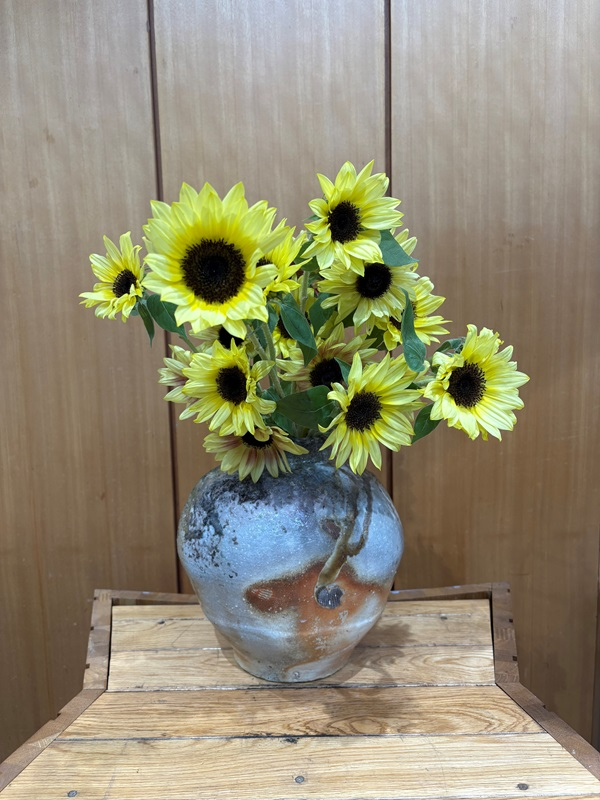 2025年９月29日の週の展示