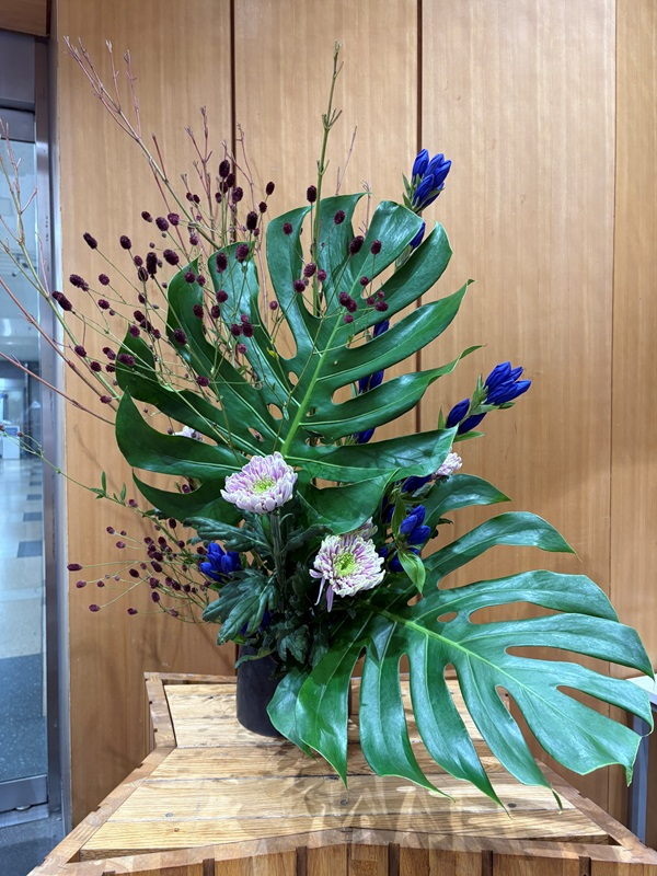 2025年10月6日の週の展示